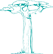Three Baobabs - Distinctive Impact Icon